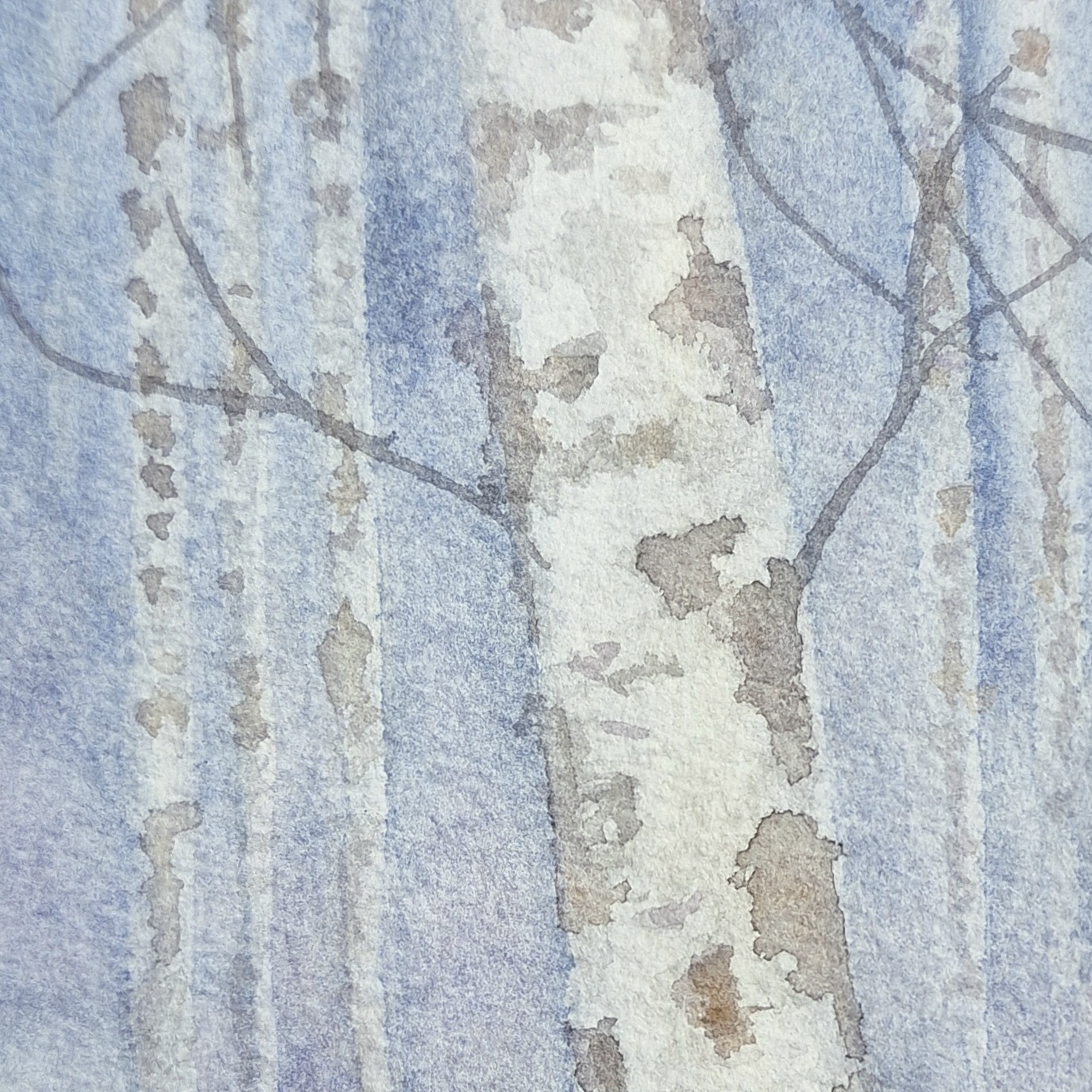 Yksityiskohta Talvi II, 15 x 9 cm, akvarelli.