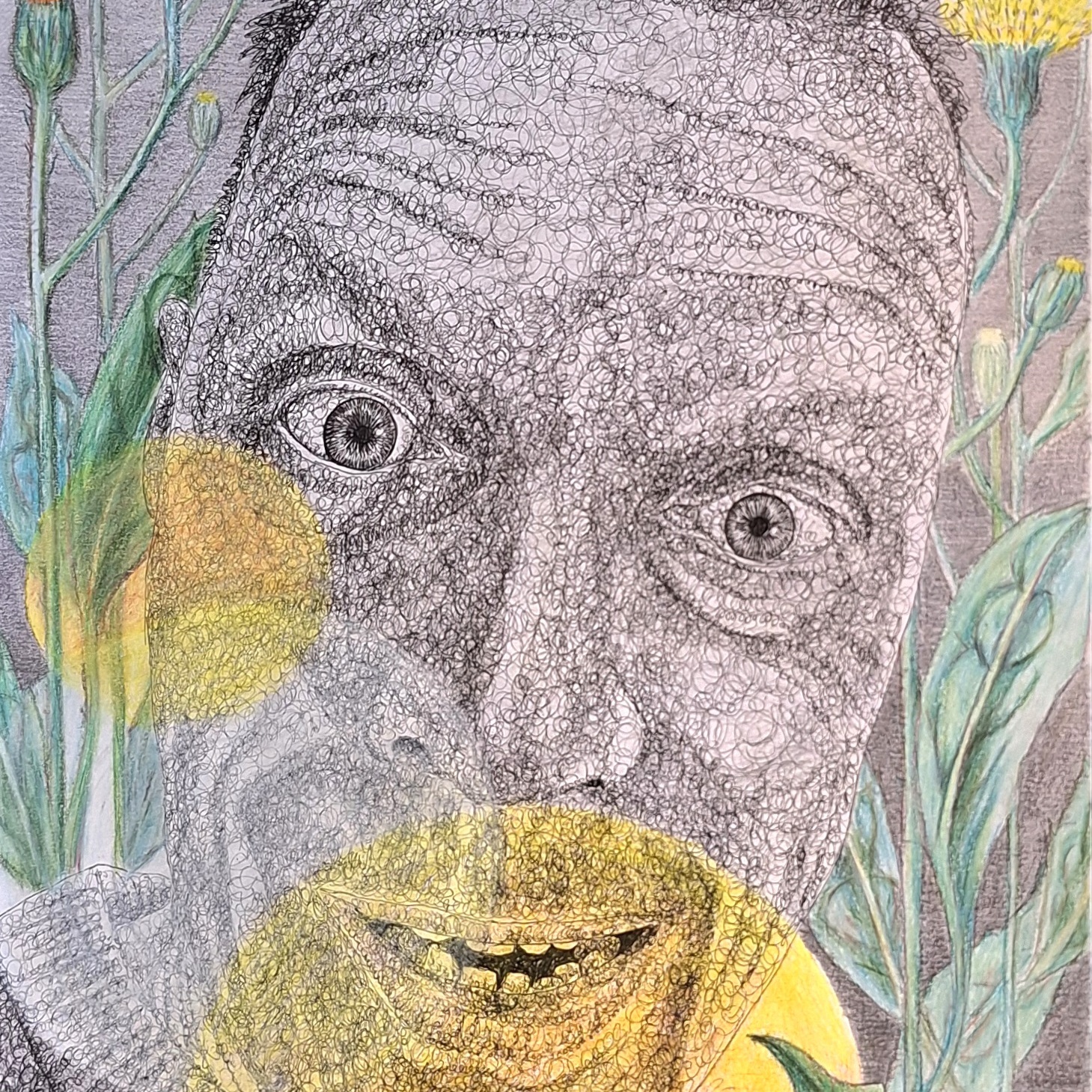 Weeds, whether you want them or not, 47cm x 35cm, ink and coloured pencils on paper.Lluis 23x17cm, water colour.