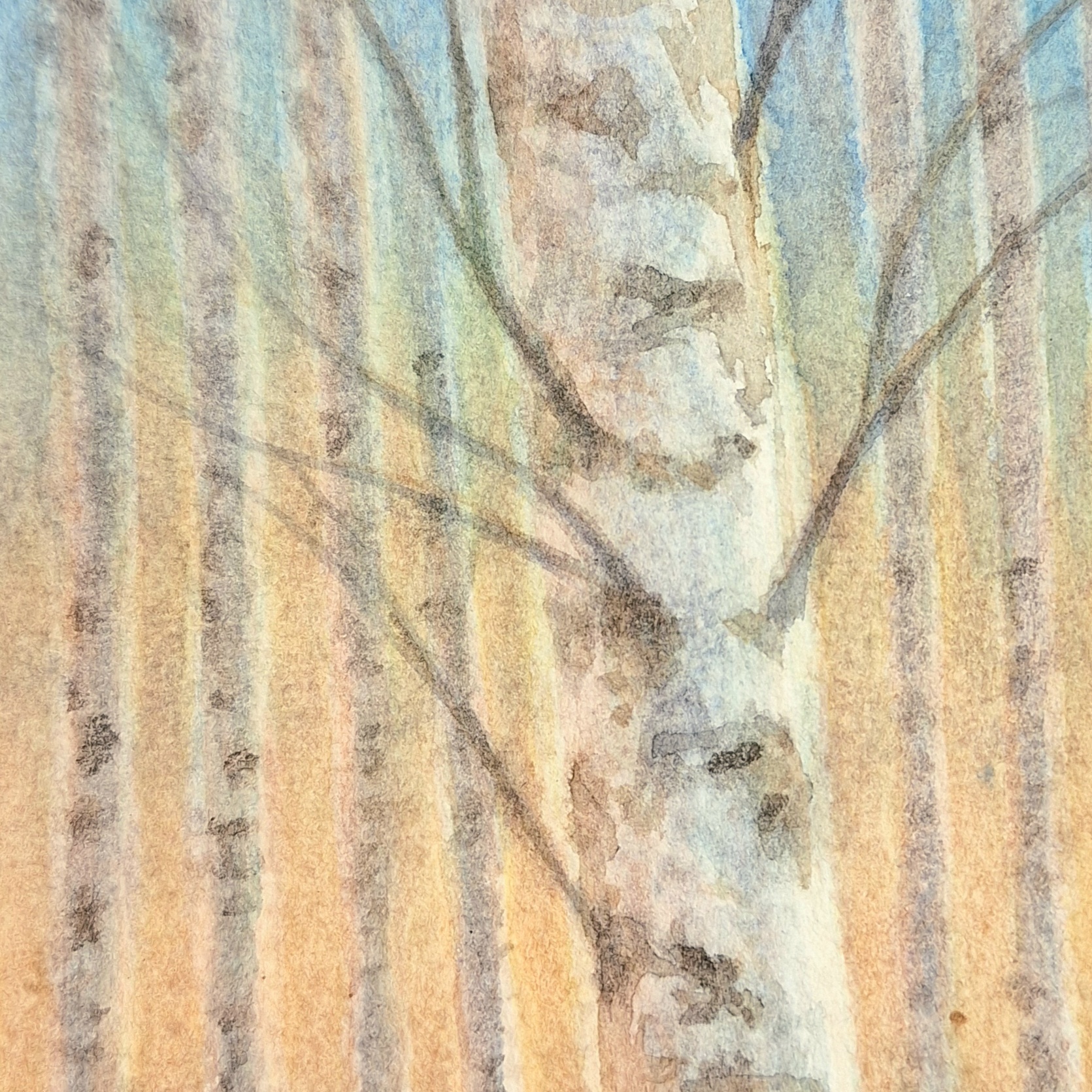 Yksityiskohta, kevät, 15 x 9 cm, akvarelli.