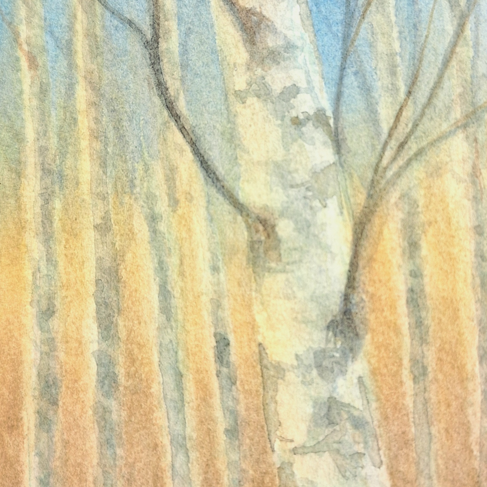 Yksityiskohta, syksy, 15 x 9 cm, akvarelli.