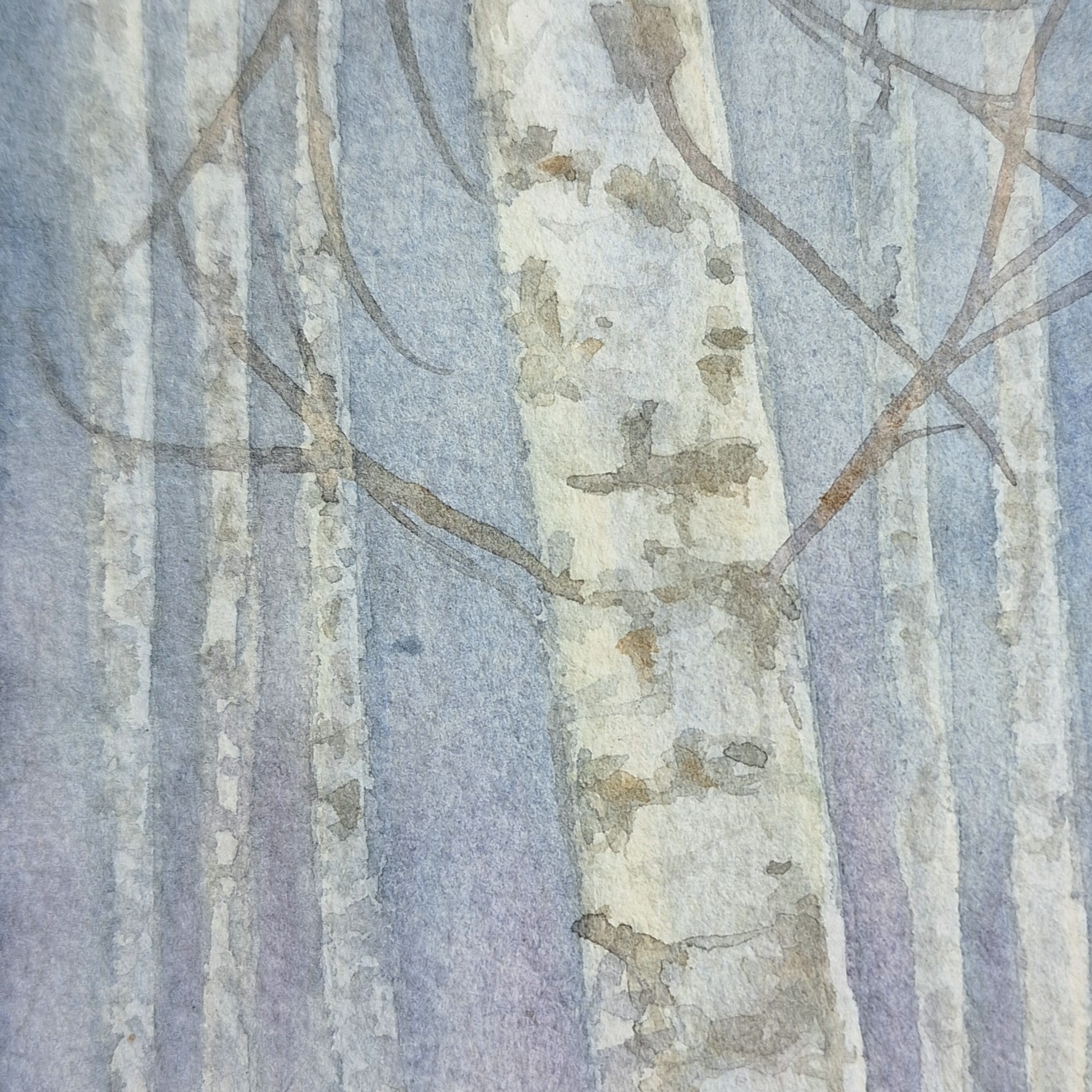 Yksityiskohta, talvi I, 15 x 9 cm, akvarelli.