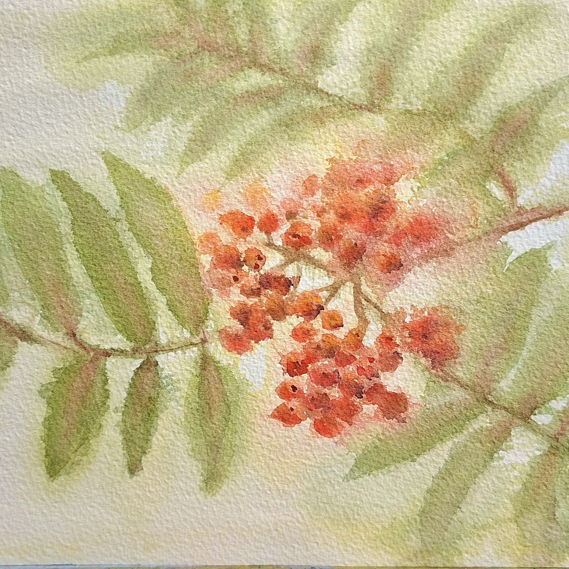 Syksy tulee, 20,5 x 24,5cm, akvarelli.