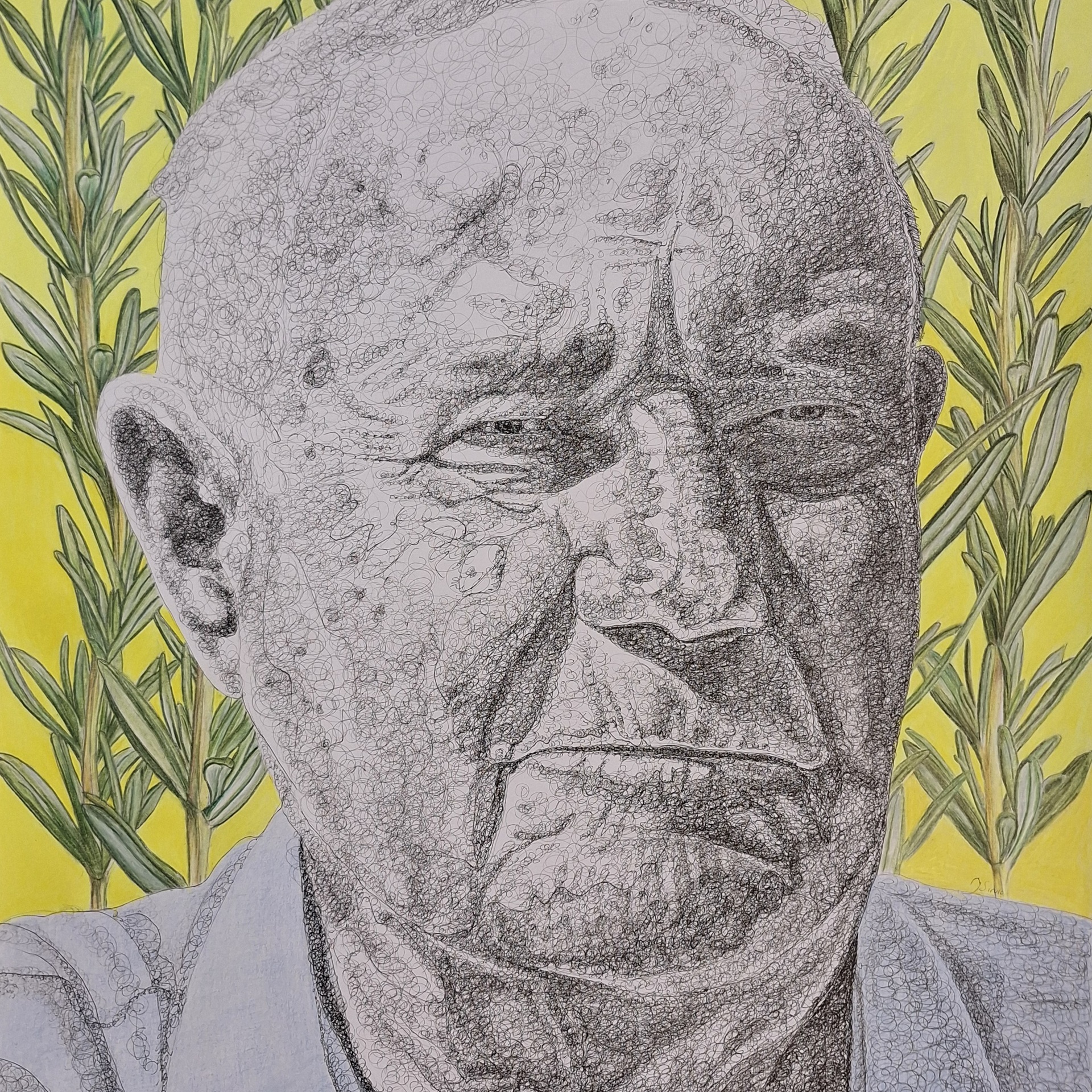 Born in the middle of the Rosemary, Ink and colored pencils
, 104x72cm