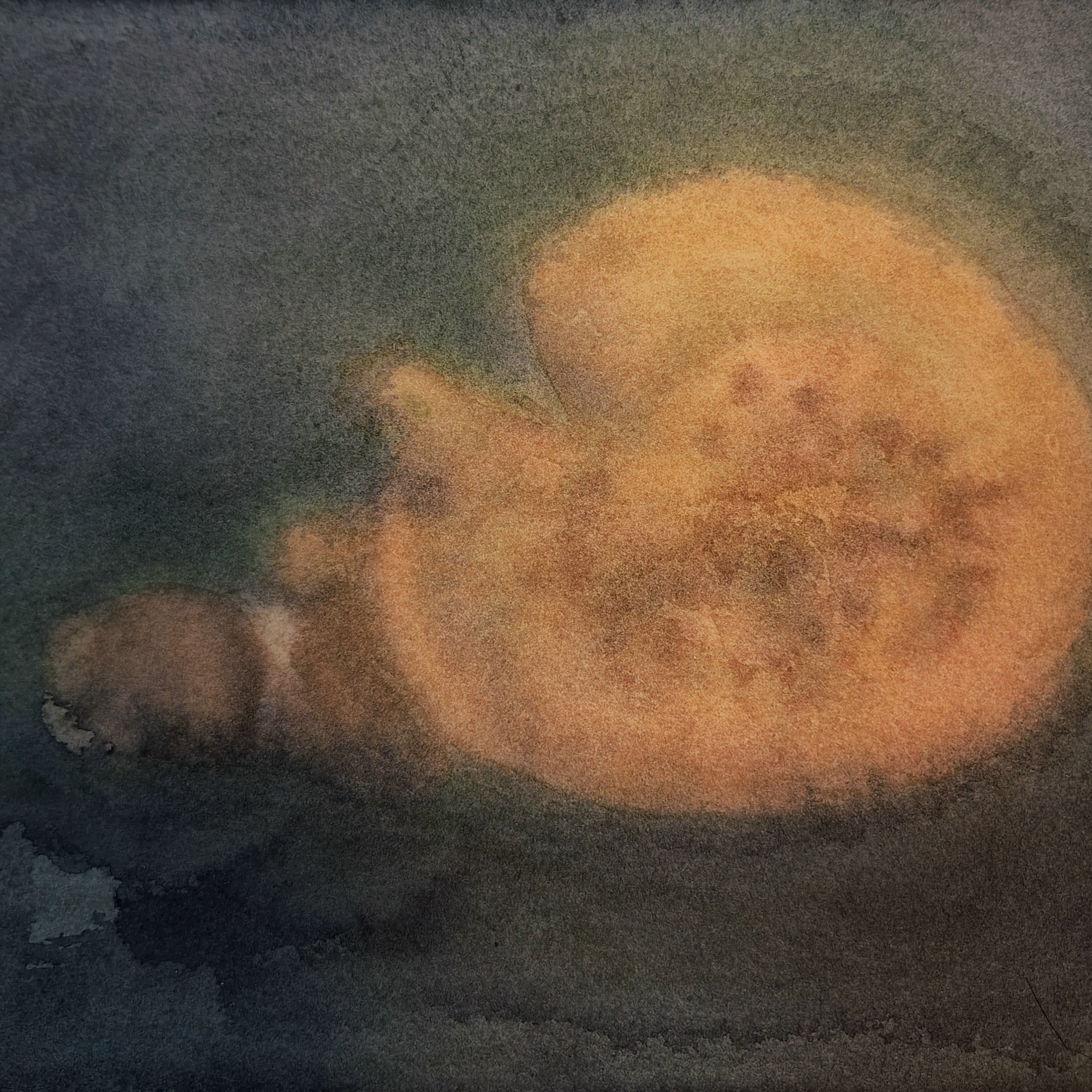 Metsään unohdettu, 23 x 20 cm, akvarelli.